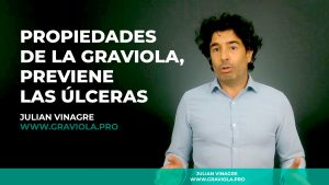 Propiedades de la Guanábana o Annona Muricata para prevenir úlceras